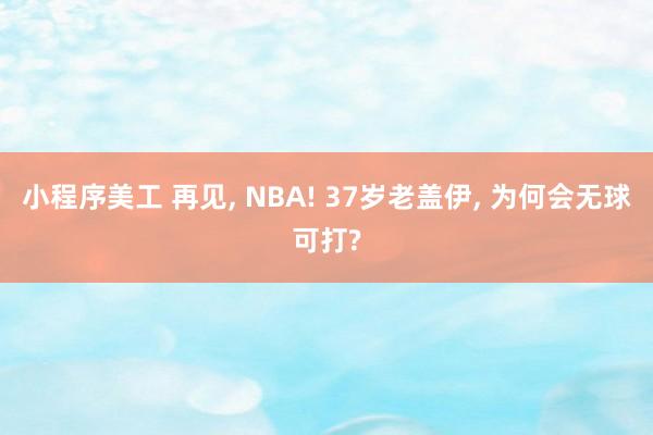 小程序美工 再见, NBA! 37岁老盖伊, 为何会无球可打?