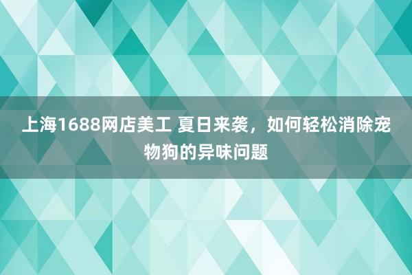 上海1688网店美工 夏日来袭，如何轻松消除宠物狗的异味问题