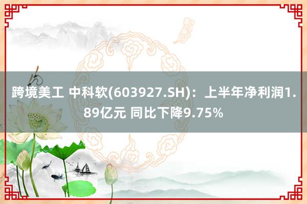 跨境美工 中科软(603927.SH)：上半年净利润1.89亿元 同比下降9.75%