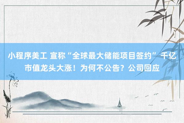 小程序美工 宣称“全球最大储能项目签约” 千亿市值龙头大涨！为何不公告？公司回应