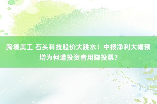 跨境美工 石头科技股价大跳水！中报净利大幅预增为何遭投资者用脚投票？